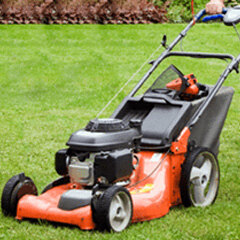 Lawn & Garden